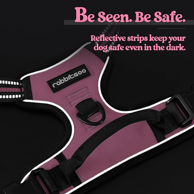 rabbitgoo Dog Harness No Pull with 2 Leash Clips, Adjustable Soft Padded, Reflective Oxford No Choke Pet Vest with Easy Control Handle for Large Dogs, Pink, L rabbitgoo