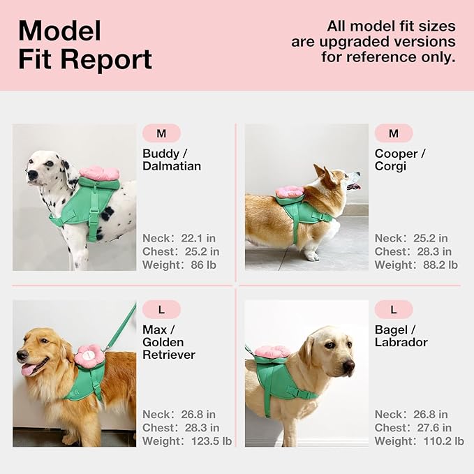 VETRESKA Flora Dog Harness, Leash and Collar Set, No Pull Dog Vest Harness for Walking and Training, Adjustable, Easy Control and Soft Padded Pet Harness and Backpack for Small Medium Large Dogs, M - PAWPICO