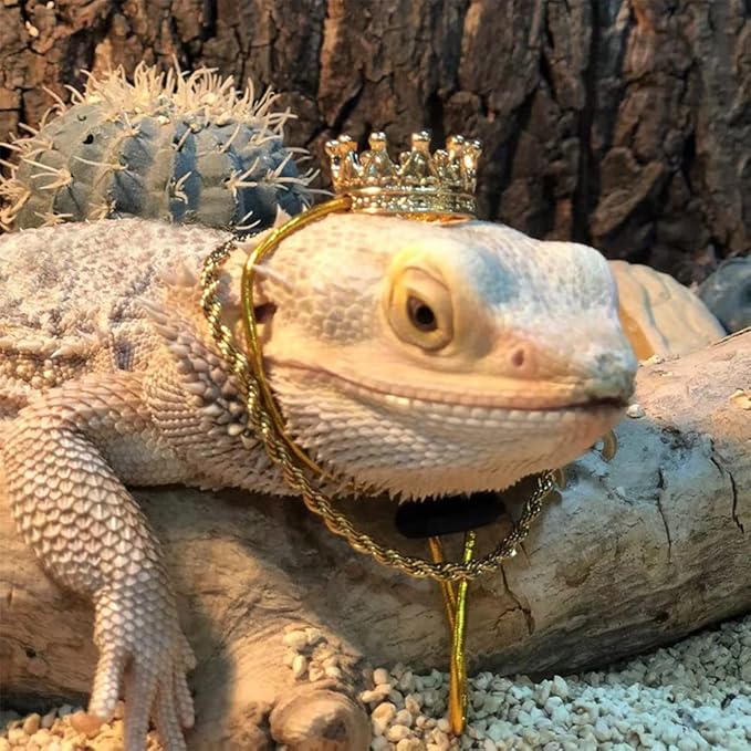 2Pcs Lizard Crown Necklace Set Metal Lizard Outfit Reptile Clothes Accessories Lizard Photo Props for Bearded Dragons Iguana Amphibians and Other Small Animals (Gold) KUNBIUH