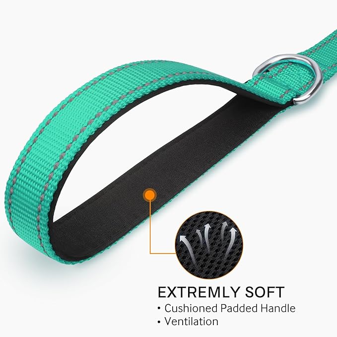 Joytale Double-Sided Reflective Dog Leash, 6 FT/5 FT/4 FT, Padded Handle Nylon Heavy Duty Leashes for Small & Medium Dogs Walking, Teal, 4FT Joytale