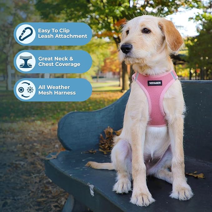 Voyager Step-in Air Dog Harness - All Weather Mesh, Reflective, No Pull Harness for Small, Medium Dogs, Cats - Secure with Hook & Loop Fastener, Buckle, Double D-Rings - Pink, XL BestPetSuppliesLLC
