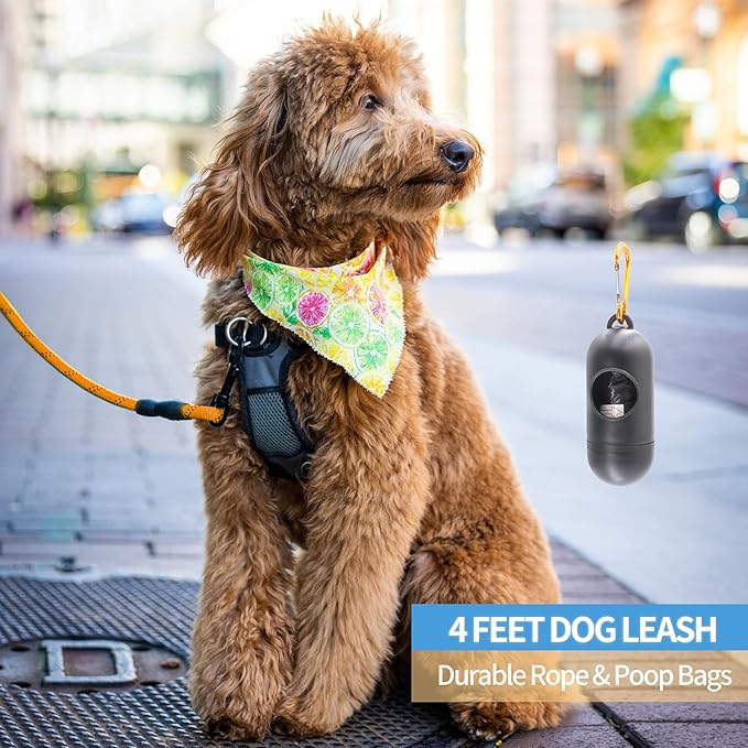 BAAPET 2/4/5/6 FT Dog Leash with Comfortable Padded Handle and Highly Reflective Threads for Small Medium and Large Dogs (4FT-1/2'', Orange) BAAPET