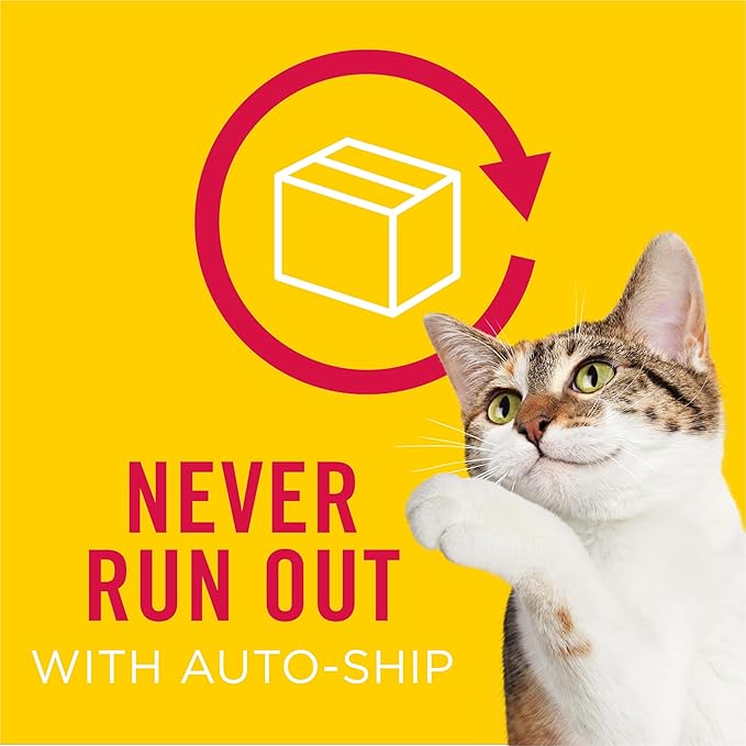 Purina Friskies Cat Treats, Party Mix Cheezy Craze Crunch - 20 oz. Pouch PurinaTreats