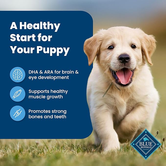 Blue Buffalo Life Protection Formula Puppy Dry Dog Food with DHA and ARA, Made with Natural Ingredients, Chicken & Brown Rice Recipe, 34-lb Bag - PAWPICO