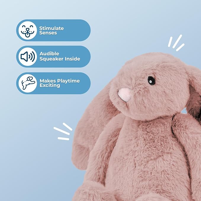Best Pet Supplies Interactive Bunny Buddy Dog Toy with Crinkle and Squeaky Enrichment for Small and Medium Breed Puppies or Dogs, Cute and Plush - Bunny (Mauve), Small - PAWPICO