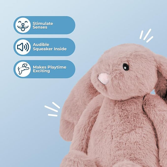Best Pet Supplies Interactive Bunny Buddy Dog Toy with Crinkle and Squeaky Enrichment for Small and Medium Breed Puppies or Dogs, Cute and Plush - Bunny (Mauve), Small - PAWPICO