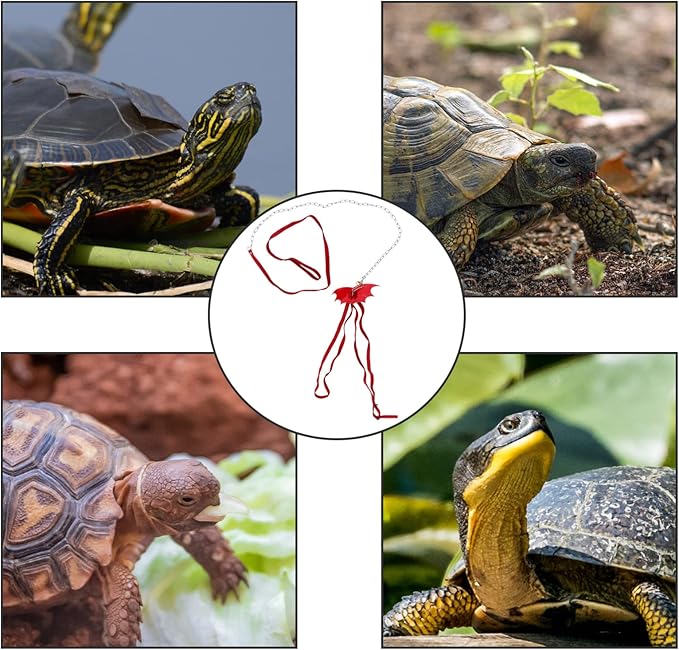 Turtle Wing Design Harness Strap Chest Collar Adjustable Rope Walking Control Rope Great for Turtle Reptile (Red L) POPETPOP