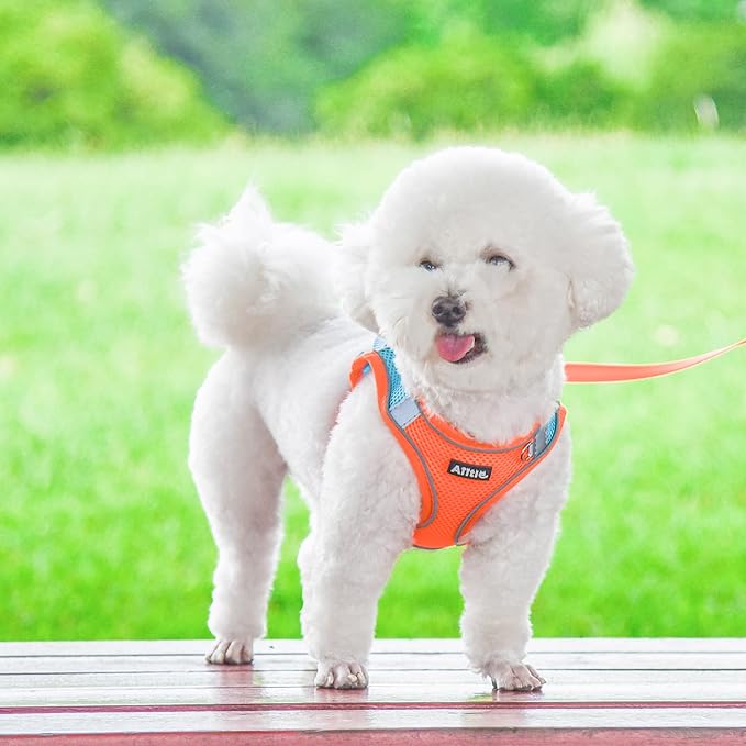 AIITLE Comfortable Dog Harness and Leash Set for Walking - Spring Step in Vest Harness,Reflective Bands, Adjustable No Pull Puppy Essentials, for Small Dogs and House Cats Orange XS AIITLE-FORPETSBETTERLIFE