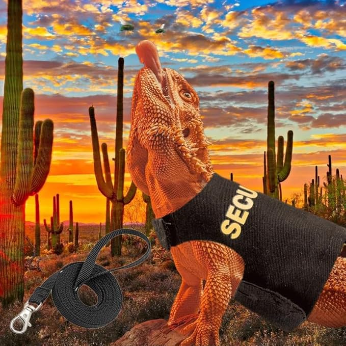 Bearded Dragon Leash and Harness Set, Adjustable Lizard Reptile Leashes Bearded Dragon Rope Accessories for Bearded Dragon Lizard Small Pets Outdoor Safety Walking(Security Character) HOKABLE