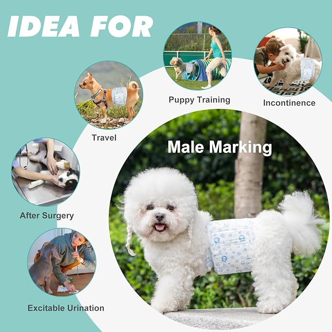 Disposable Dog Diapers Male,20 Count Adjustable Male Dog Wraps with Leak Proof Fit, Puppy Diaper Liners Ultra Absorbent Doggie Diapers for Male Dogs Incontinence, Excitable Urination - PAWPICO