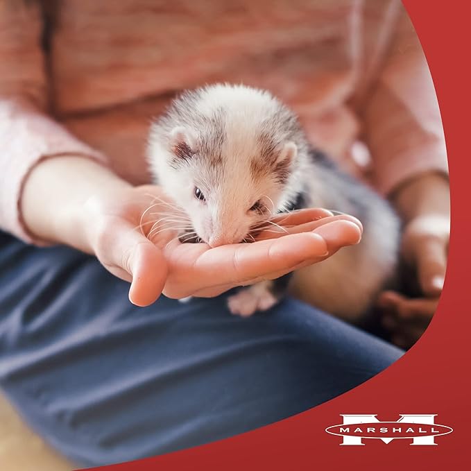 Marshall Pet Products Natural Complete Nutrition Premium Ferret Diet Food Select Chicken Formula with 3lbs of Fresh Chicken, Highly Digestible, 4 lbs Marshall+Pet+Products