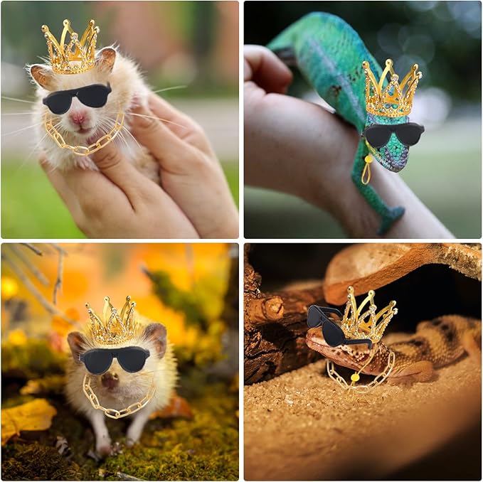 Bearded Dragon Accessories Set Including Crown Necklace Sunglasses with Adjustable Elastic Chin Strap Reptile Clothes Lizards Gecko Chameleon Iguana Frogs for Photo Props Birthday Gift Keymall