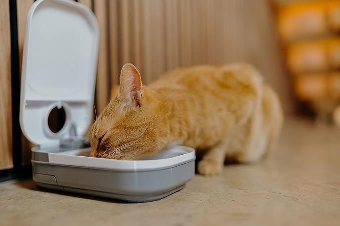 Cat Mate C100 Single Meal Automatic Pet Feeder for Cats and Small Dogs (no ice Pack) - PAWPICO