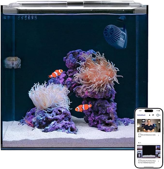 15 Gallon Beginner Clownfish Saltwater Aquarium Kit with App Controlled Smart LED Lighting, Filtration, Decor, and Setup Guide HelloReef