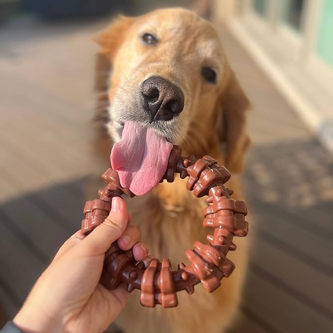 Nylabone Power Chew Textured Dog Chew Ring Toy, Dog Toys for Aggressive Chewers, Flavor Medley, X-Large/Souper (1 Count) - PAWPICO