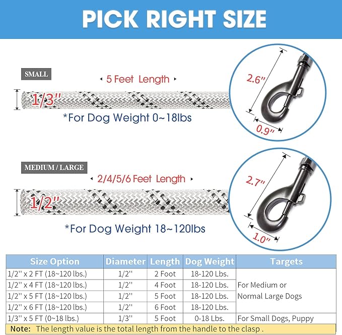 BAAPET 2/4/5/6 FT Dog Leash with Comfortable Padded Handle and Highly Reflective Threads for Small Medium and Large Dogs (2FT-1/2'', Silver) BAAPET