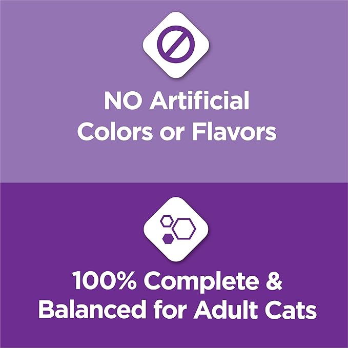 Purina Cat Chow Gentle Dry Cat Food, Sensitive Stomach + Skin - 13 lb. Bag - PAWPICO