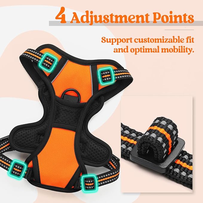 rabbitgoo Dog Harness No Pull with 2 Leash Clips, Adjustable Soft Padded, Reflective Oxford No Choke Pet Vest with Easy Control Handle for Puppy, Orange,XS rabbitgoo