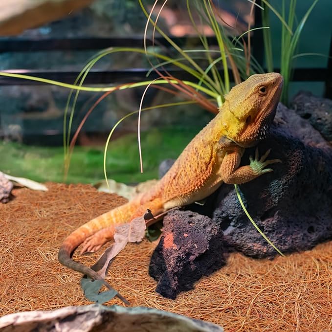 ZeeDix 3 Rolls Coconut Fiber Reptile Substrate Mat, 24 x 48 inches Natural Coco Mat Reptile Carpet Coco Fiber Liner Turtle Bedding Reptile Terrarium Liner for Lizard Snake Turtle Gecko Bearded Dragon ZeeDix