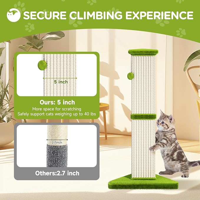 Cat Scratching Post 32 Inch Tall Cat Scratching Post for Indoor with 5 Inch Diameter Post and Ball Cat Scratcher for Medium and Large Cats - PAWPICO