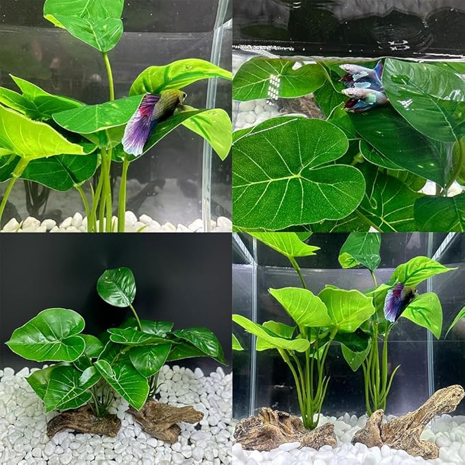 Smoothedo-Pets Fish Tank Decor Aquarium Decorations Ornaments Betta Leaf pad Hammock 6inch Plastic Artificial Plant Goldfish Fish Hides Small Tank/Reptiles Plants Driftwood (Green-Type-A-Set) EnvironmentFriendlyArtificialPlasticPlantAquariumDecoration