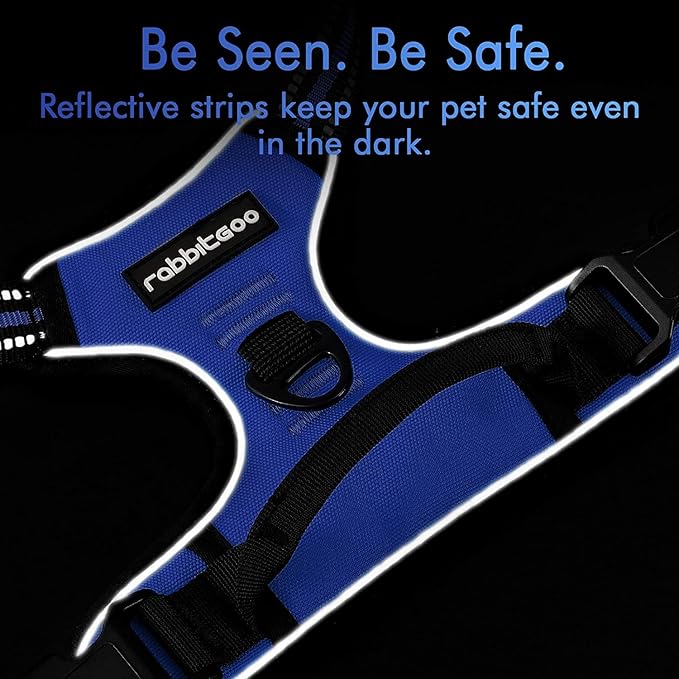 rabbitgoo Dog Harness, No-Pull Pet Harness with 2 Leash Clips, Adjustable Soft Padded Dog Vest, Reflective No-Choke Pet Oxford Vest with Easy Control Handle for Small Dogs, Dazzling Blue,XS - PAWPICO
