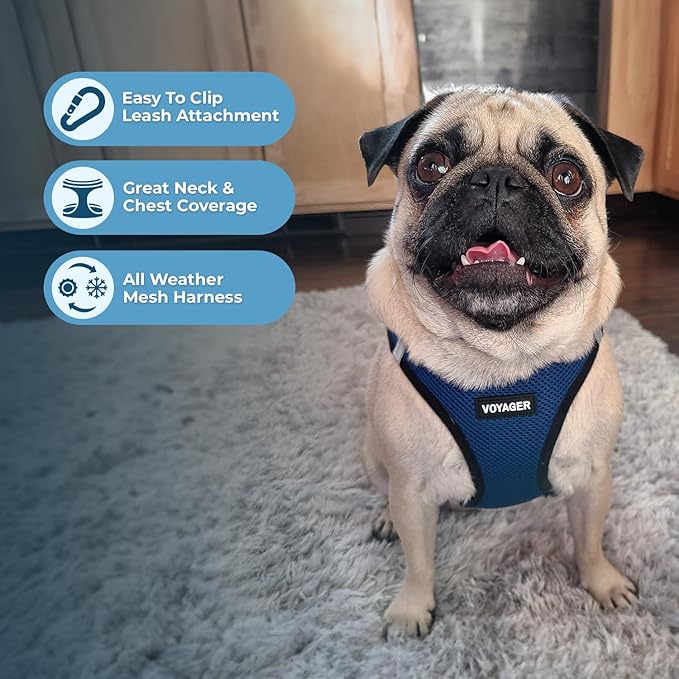 Voyager Step-In Air Dog Harness - All Weather Mesh, Reflective, No Pull Harness for Small, Medium Dogs, Cats - Secure with Hook & Loop Fastener, Buckle, Double D-Rings - Blue/Black Trim, XXS BestPetSuppliesLLC