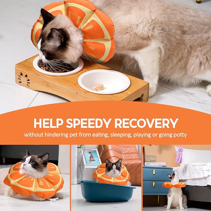 Avont Cat Cone Collar Soft, Adjustable Recovery E Collar Alternative for Cats Kittens Puppies, Elizabethan Neck Cone of Shame to Prevent Licking Biting After Surgery Protect Wounds -Tangerine(S) Avont