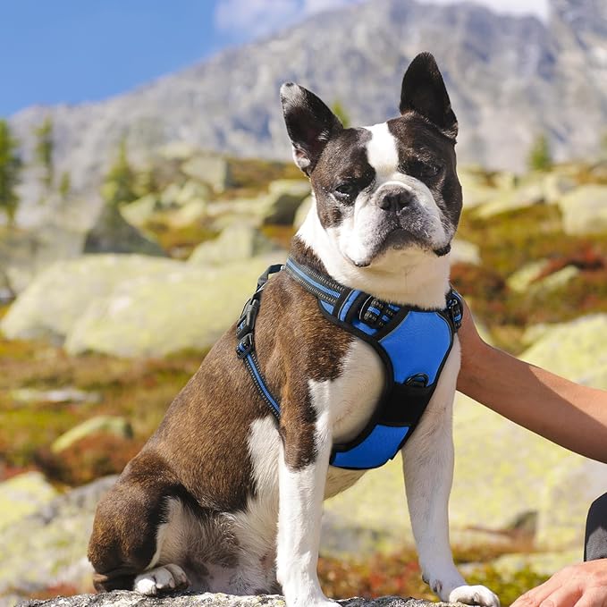 Eagloo Dog Harness Medium Sized Dog, No Pull Service Vest with Reflective Strips and Control Handle, Adjustable and Comfortable for Easy Walking, No Choke Pet Harness with 2 Metal Rings, Blue, M GoExplorewithEagloo