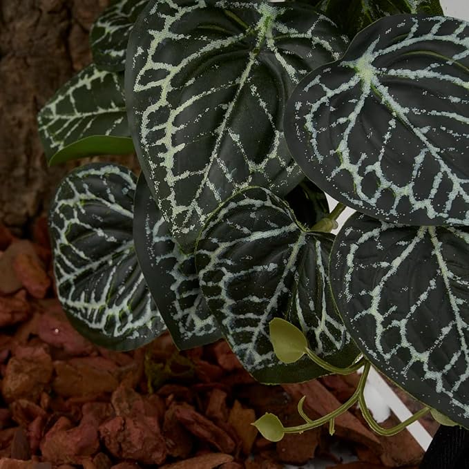 Reptile Plants for Terrarium, Amphibian Habitat Decor Artificial Hanging Plants with Suction Cup - Fake Anthurium Crystallinum WOLEDOE