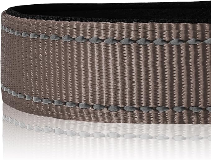 Joytale Reflective Dog Collar,Soft Neoprene Padded Nylon Pet Collar Adjustable for Medium Dogs,Brown,Medium - PAWPICO