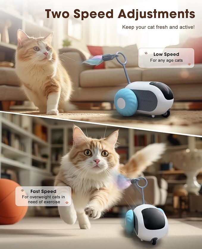 Cat Toys for Indoor Cats, Smart Interactive Cat Toy with Two-Speed Adjustment, Remote Control USB Rechargeable Automatic Cat Exercise Toys for Bored Indoor Adult Cats Kittens (Blue) - PAWPICO