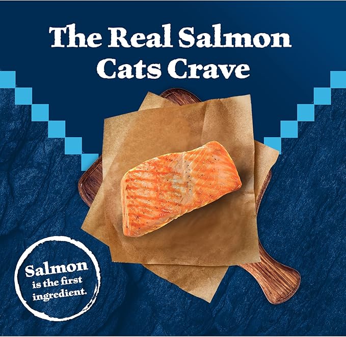 Blue Buffalo Wilderness Natural High Protein Grain Free Salmon Dry Food for Adult Cats 11 lbs. - PAWPICO