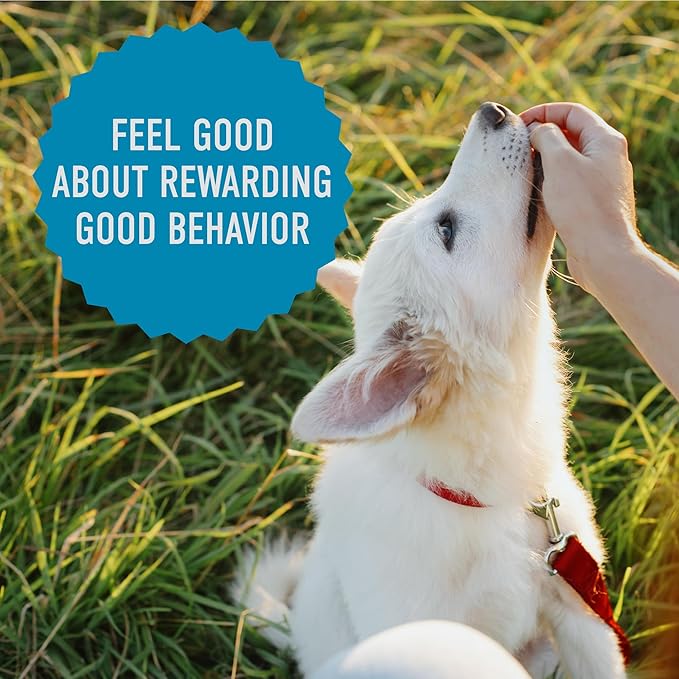 Cloud Star Tricky Trainers Soft & Chewy Dog Training Treats 14 oz Pouch, Salmon Flavor, Low Calorie Behavior Aid with 360 treats - PAWPICO