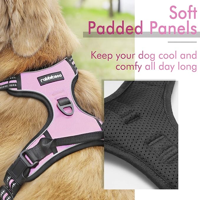 rabbitgoo Dog Harness, No-Pull Pet Harness with 2 Leash Clips, Adjustable Soft Padded Dog Vest, Reflective No-Choke Pet Oxford Vest with Easy Control Handle for Small Dogs, Pink, S - PAWPICO