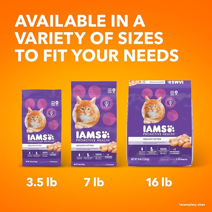 IAMS PROACTIVE HEALTH Healthy Kitten Dry Cat Food with Chicken, 7 lb. Bag - PAWPICO