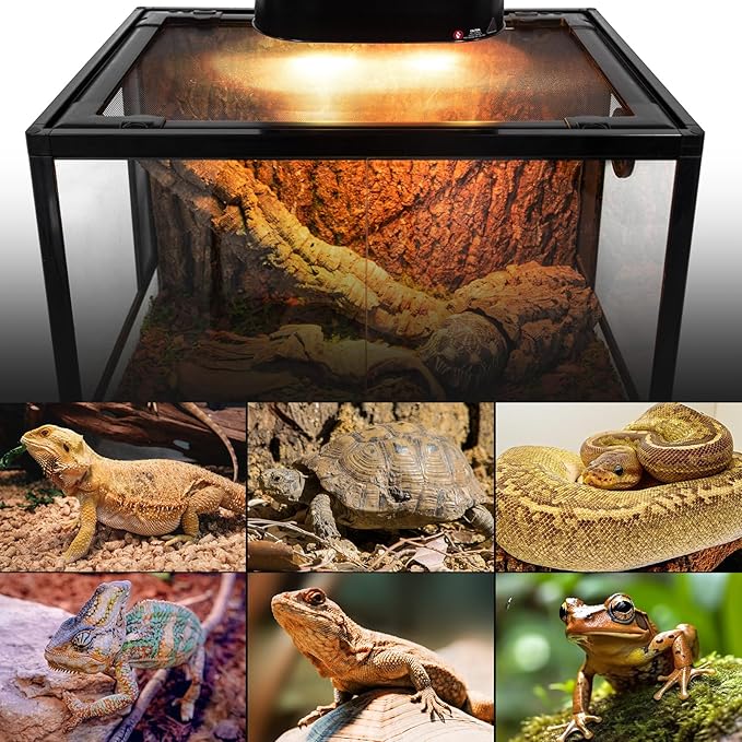 REPTI ZOO Dual Reptile Light Fixture with Dimming, Deep Dome Reptile Heat Lamp Fixture, UVB Light Dual Fixture Lamp Cap for Reptile Terrarium Tank REPTIZOO