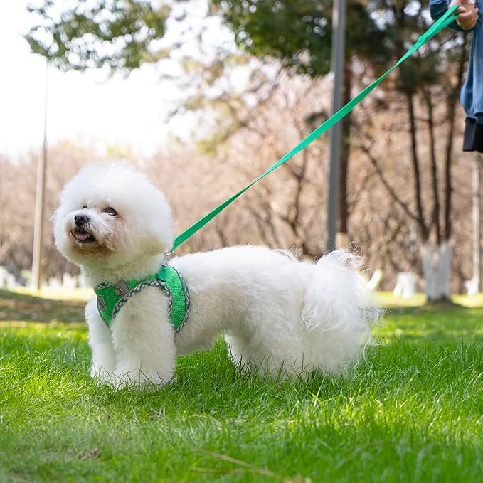 Dog Harness and Leash Set, No Pull Pet Harness for Small Dogs Easy Walking,Soft Breathable Small Dog Harness,Adjustable Reflective Step in Vest Harness for Puppy,Kitten, Cats TomteNisse
