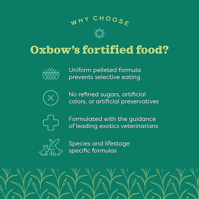 Oxbow Essentials Hamster Food and Gerbil Food - All Natural Hamster and Gerbil Food - 1 lb. OxbowAnimalHealth