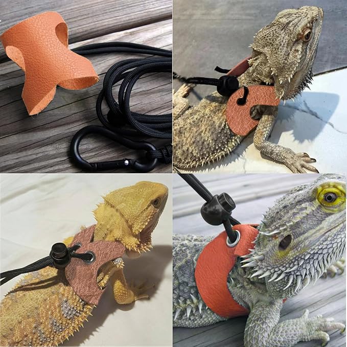 Guinea Pig Carrier,Guinea Pig Carrier for 2,Reptile Travel Carrier for Lizards Sugar Glider Hedgehog Rat Parrot Birds (Black, Carrier+Harness Leash Brown) WEVONIGU