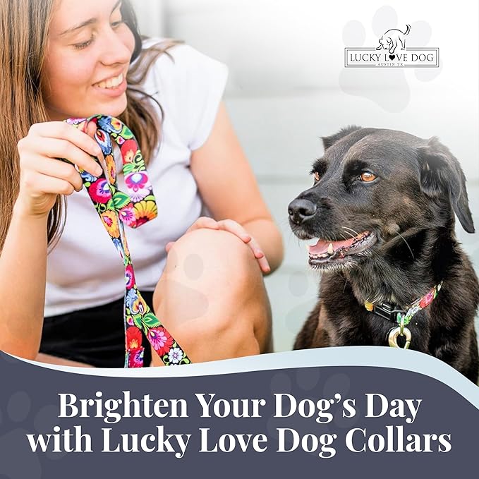 Lucky Love Dog - Adjustable Dog Collar with Easy Click Buckle for Small to Large Dogs, Durable, & Comfortable Collar for Male & Female Dogs, Pet Collar for Puppies & Adult Dogs - Blackbird, Large LuckyLoveDog