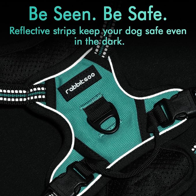 rabbitgoo Dog Harness, No-Pull Pet Harness with 2 Leash Clips, Adjustable Soft Padded Dog Vest, Reflective No-Choke Pet Oxford Vest with Easy Control Handle for Small Dogs, Turquoise, XS - PAWPICO