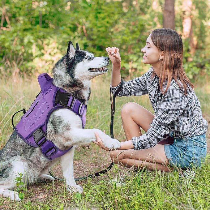 WINGOIN Purple Harness with Handle Tactical Dog Harness for Large Dogs No Pull Adjustable Reflective K9 Military Dog Vest Harnesses for Walking, Hiking, Training(XL) - PAWPICO