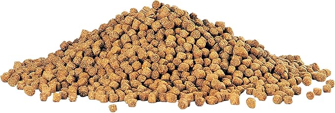Aqueon Cichlid Slow Sinking Fish Food Pellets, Medium Size, 25 Ounce Aqueon