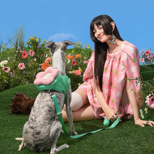 VETRESKA Flora Dog Harness, Leash and Collar Set, No Pull Dog Vest Harness for Walking and Training, Adjustable, Easy Control and Soft Padded Pet Harness and Backpack for Small Medium Large Dogs, S VETRESKA