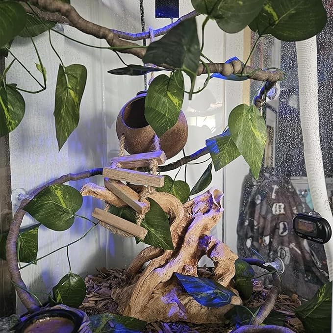 Grested Gecko Coconut Hut with Ladder,Leopard Gecko Coconut Hide Lizards Hanging Coco Den Cave Reptile Hammock Reptiles Tank Accessories Climbing Hanging Plants Jungle Vine Flexible Leaves Decor MUYG