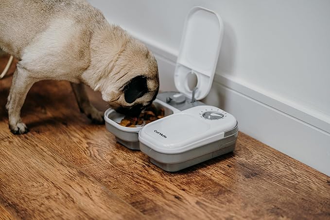 Cat Mate C200 2-Meal Automatic Pet Feeder for Cats and Small Dogs with Ice Pack - PAWPICO