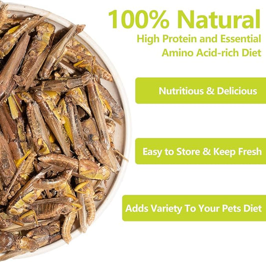 Freeze Dried Grasshoppers – 4.5 Oz High Protein Freeze Dried Grasshoppers Food for Reptiles, Bearded Dragons Lizards, Geckos, Birds, Hedgehogs Jadingfarm