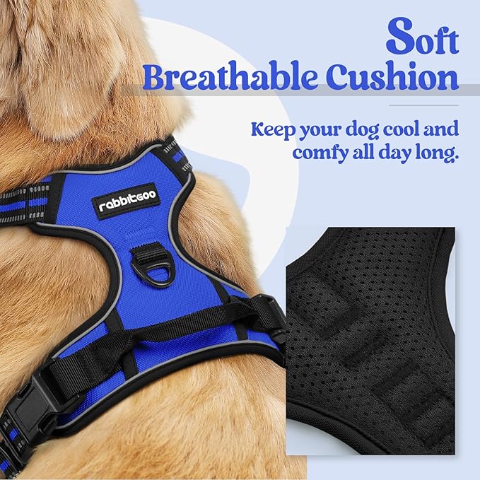rabbitgoo Dog Harness No Pull with 2 Leash Clips, Adjustable Soft Padded, Reflective Oxford No Choke Pet Vest with Easy Control Handle for Medium Sized Dogs, Dazzling Blue, M rabbitgoo