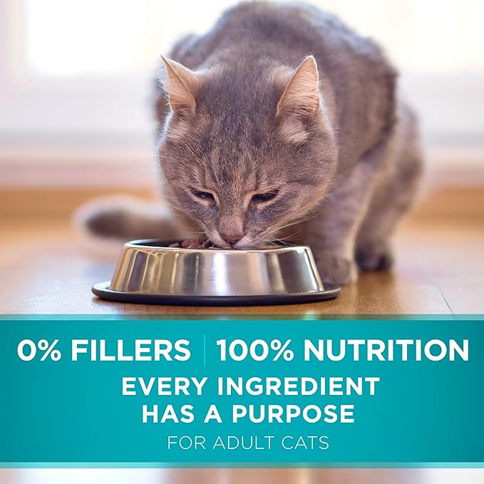 Purina ONE Natural Dry Cat Food, Tender Selects Blend with Real Salmon - 22 lb. Bag - PAWPICO